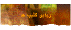 ویدیو کلیپ ها